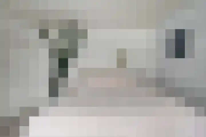Koningsweg 23 A Utrecht thumbnail 24
