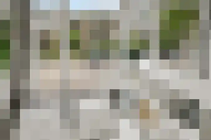 Koningsweg 23 A Utrecht thumbnail 28