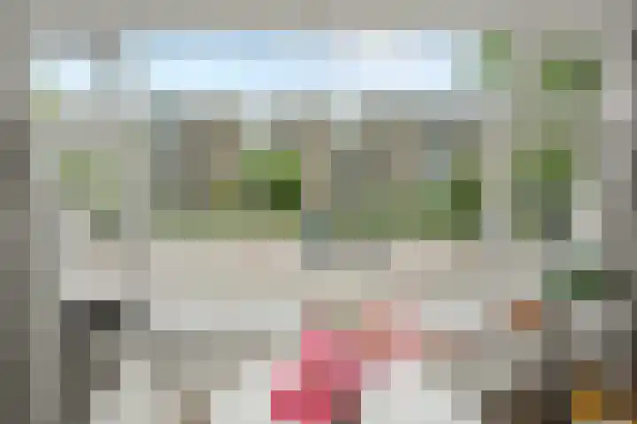 Koningsweg 23 A Utrecht thumbnail 29