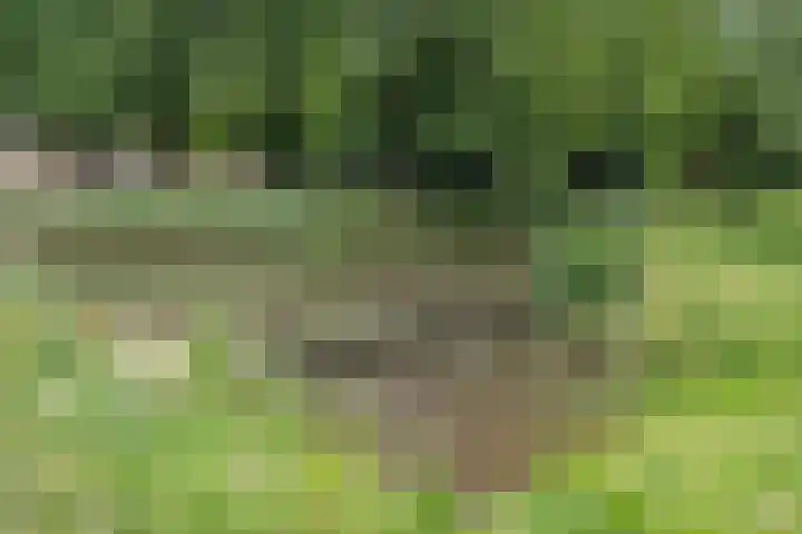 Koningsweg 23 A Utrecht thumbnail 38