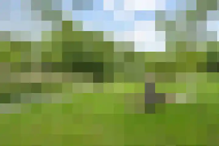 Koningsweg 23 A Utrecht thumbnail 39