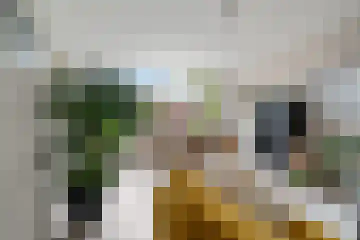 Koningsweg 23 A Utrecht thumbnail 4