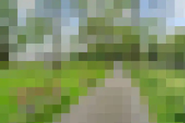 Koningsweg 23 A Utrecht thumbnail 40