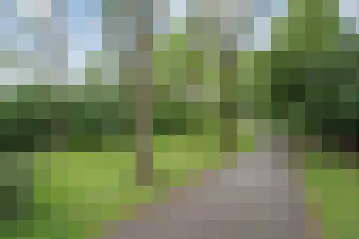 Koningsweg 23 A Utrecht thumbnail 41