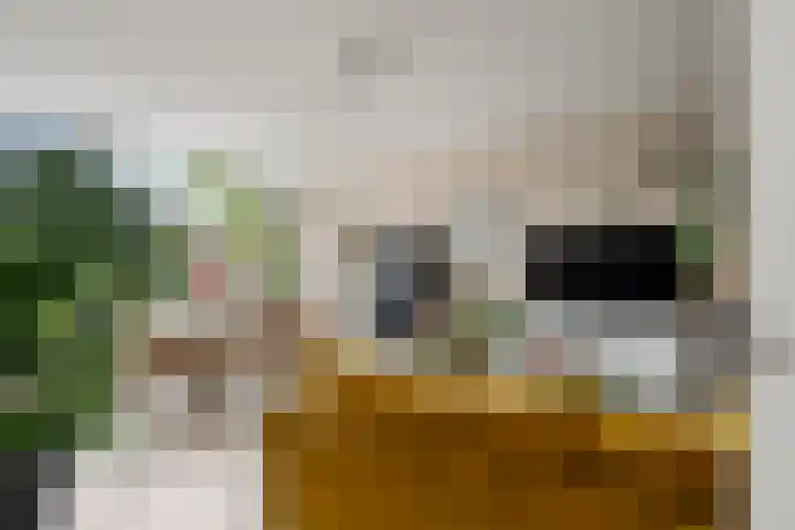 Koningsweg 23 A Utrecht thumbnail 6