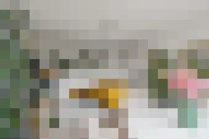 Koningsweg 23 A Utrecht thumbnail 7