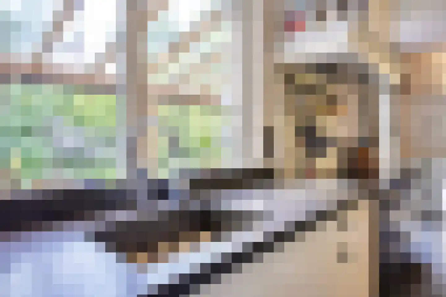 Koningsweg 23 Arnhem thumbnail 11