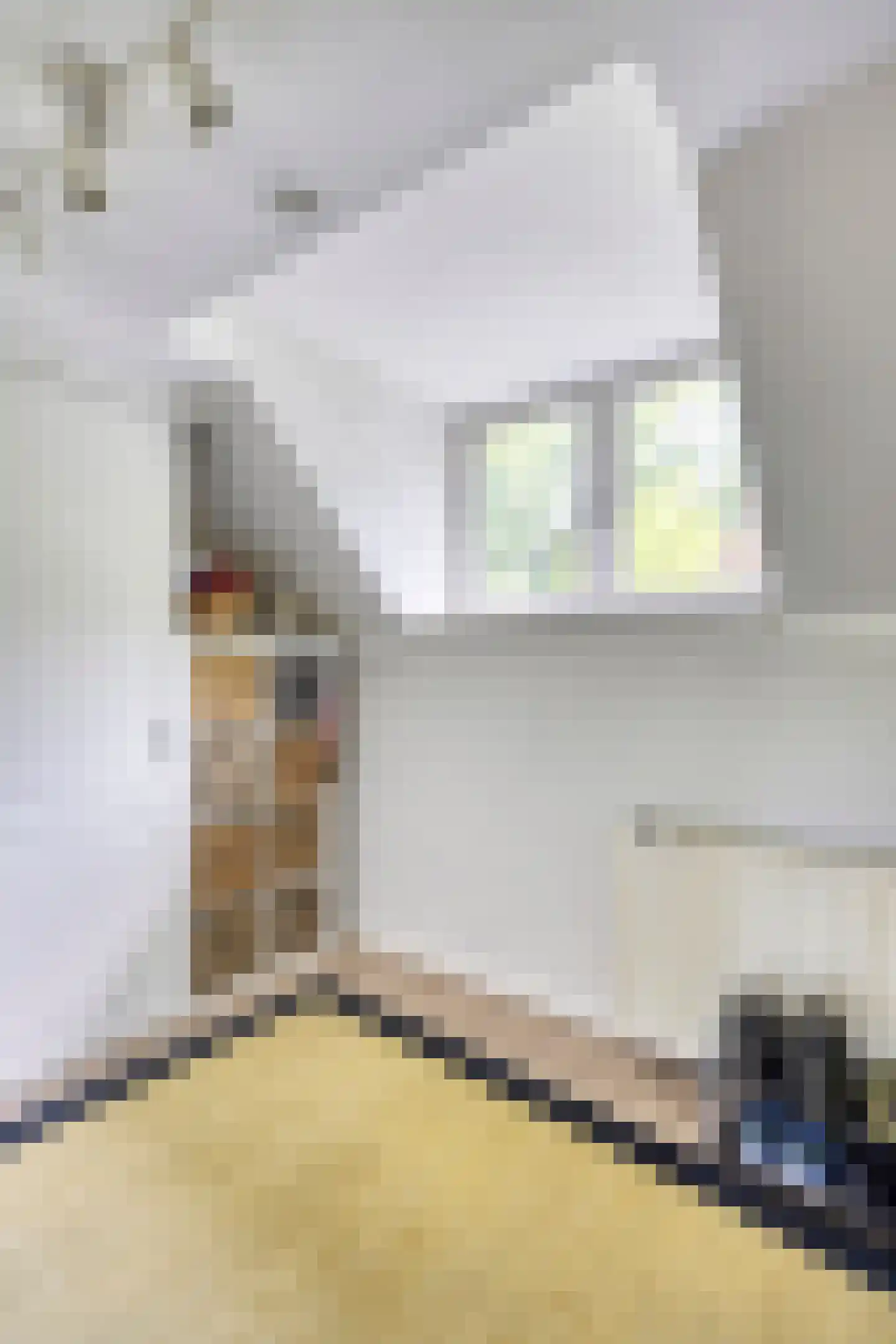 Koningsweg 23 Arnhem thumbnail 23