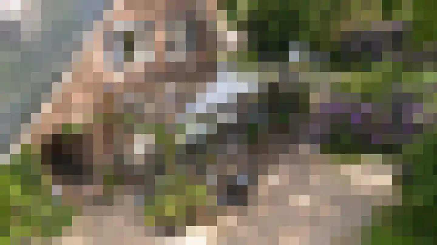 Koningsweg 23 Arnhem thumbnail 35