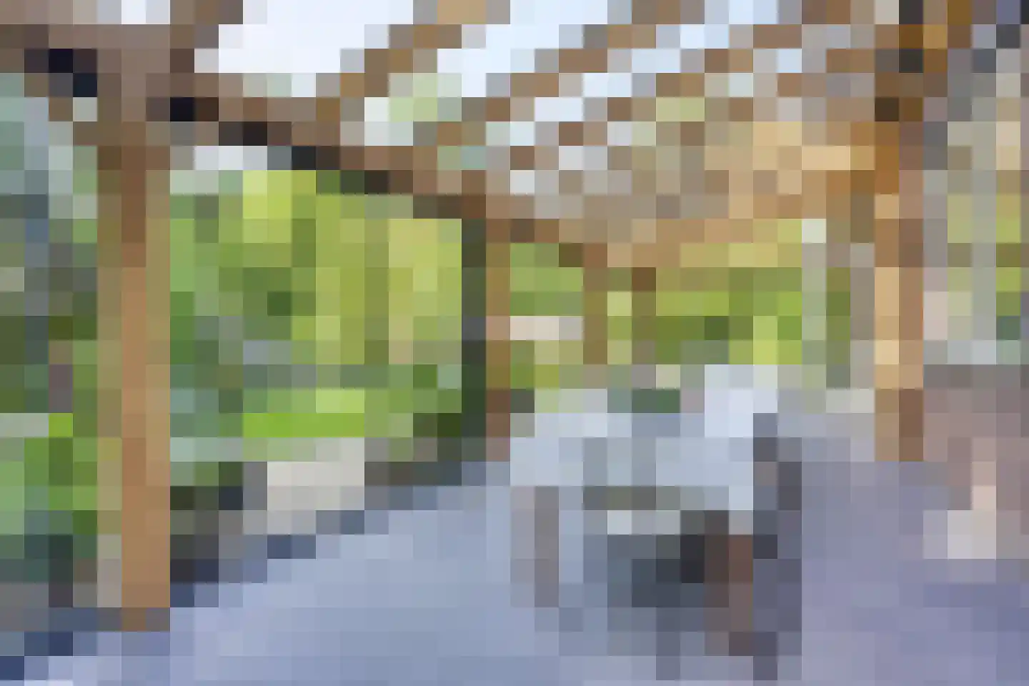 Koningsweg 23 Arnhem thumbnail 36