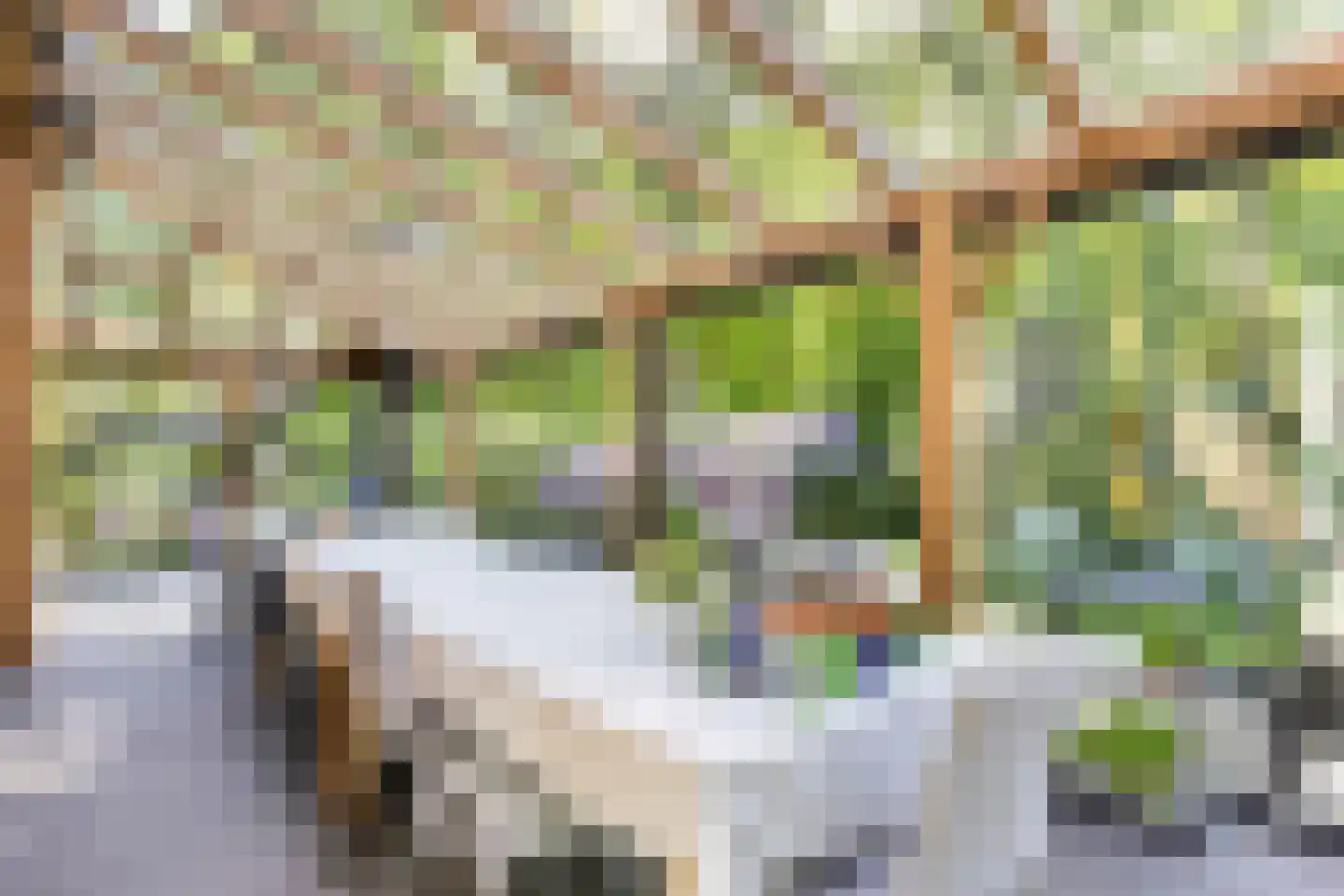 Koningsweg 23 Arnhem thumbnail 37