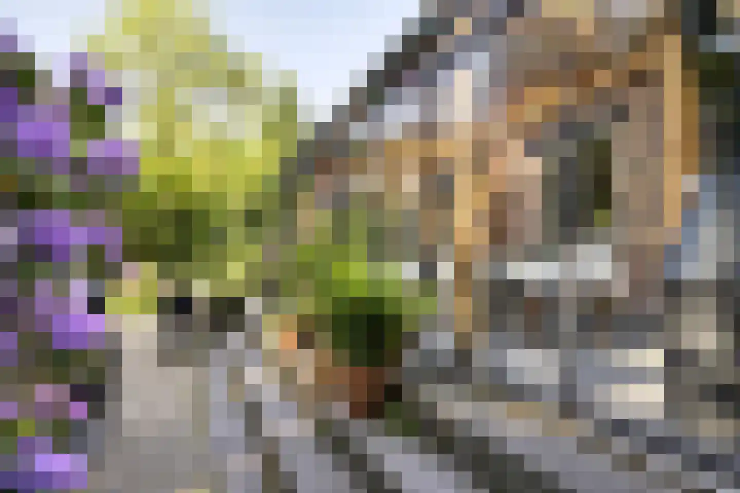 Koningsweg 23 Arnhem thumbnail 39
