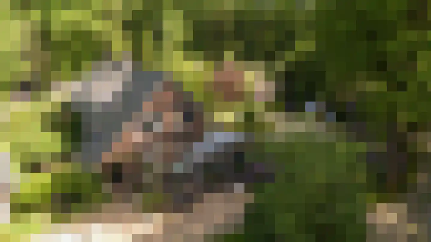 Koningsweg 23 Arnhem thumbnail 42