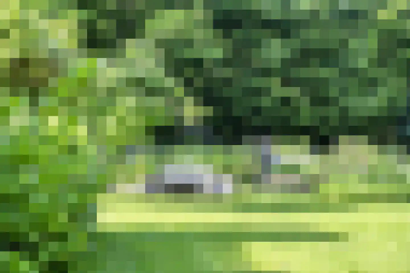 Koningsweg 23 Arnhem thumbnail 43