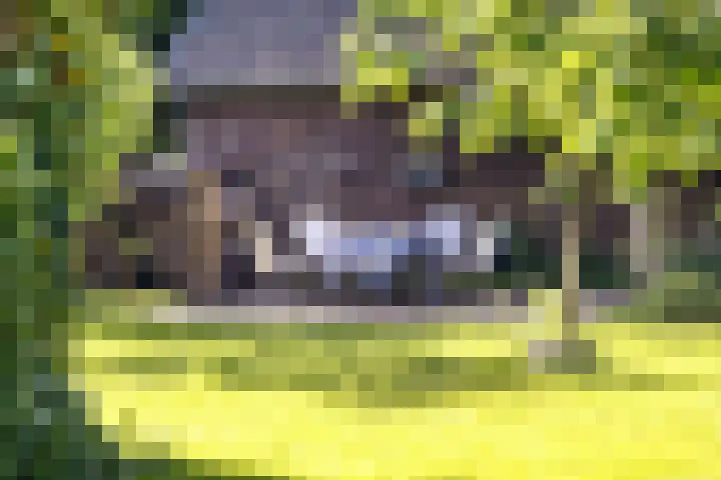 Koningsweg 23 Arnhem thumbnail 44