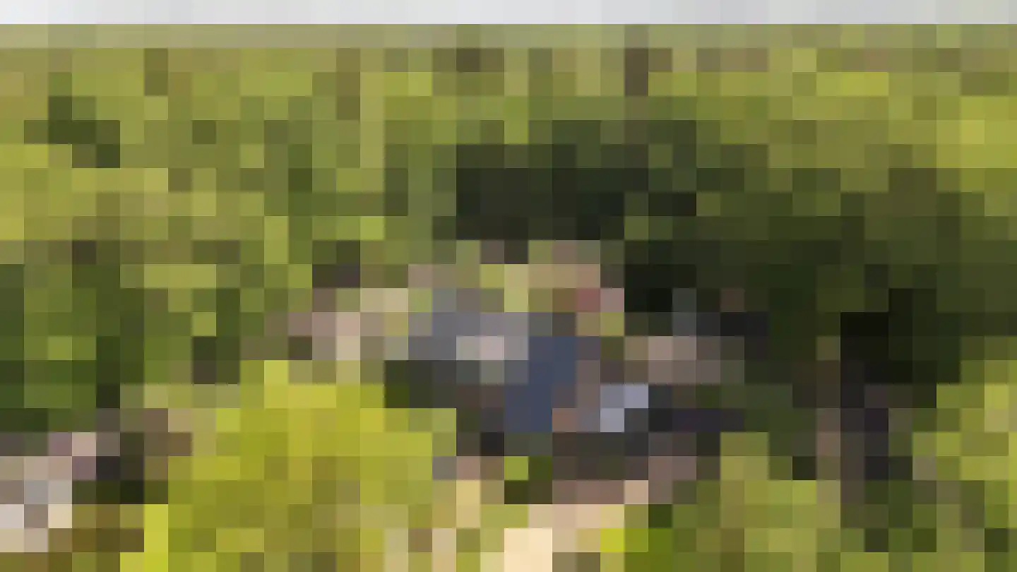 Koningsweg 23 Arnhem thumbnail 45