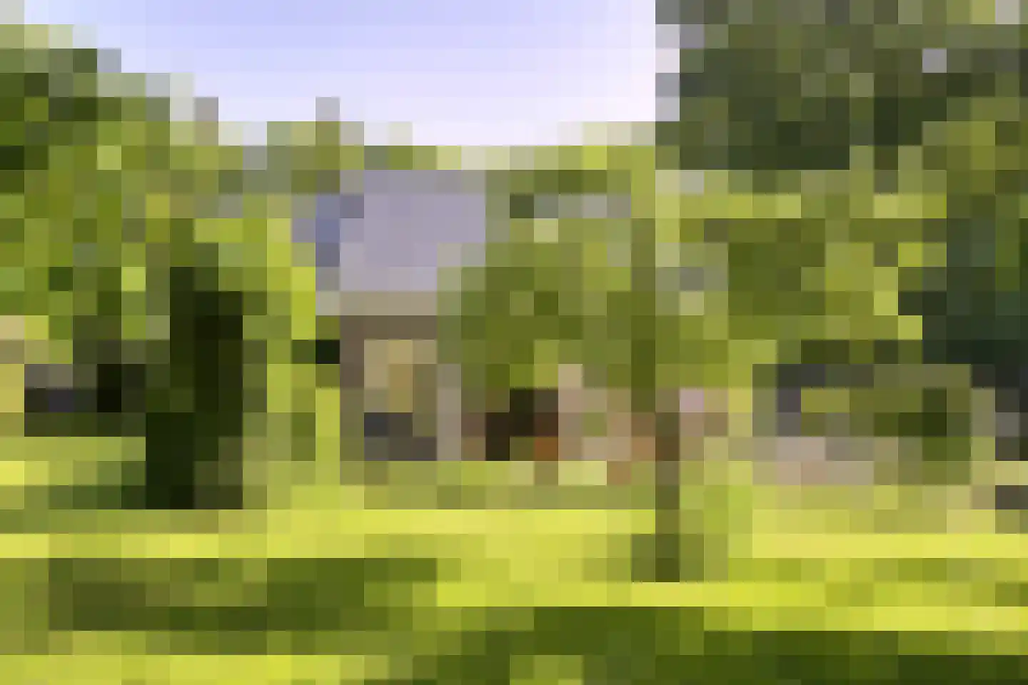 Koningsweg 23 Arnhem thumbnail 47
