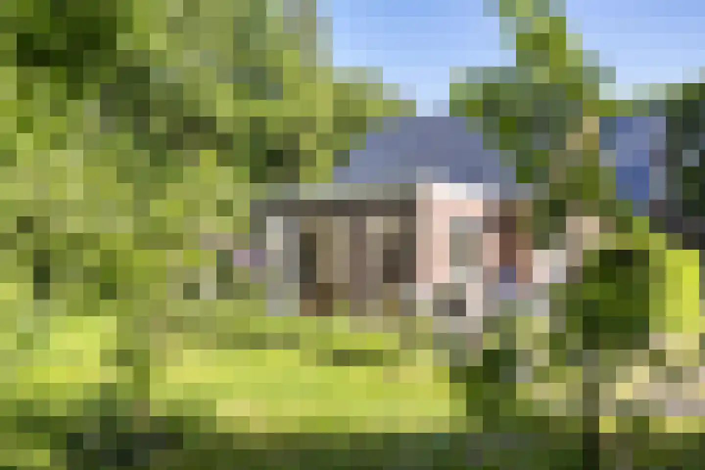Koningsweg 23 Arnhem thumbnail 48