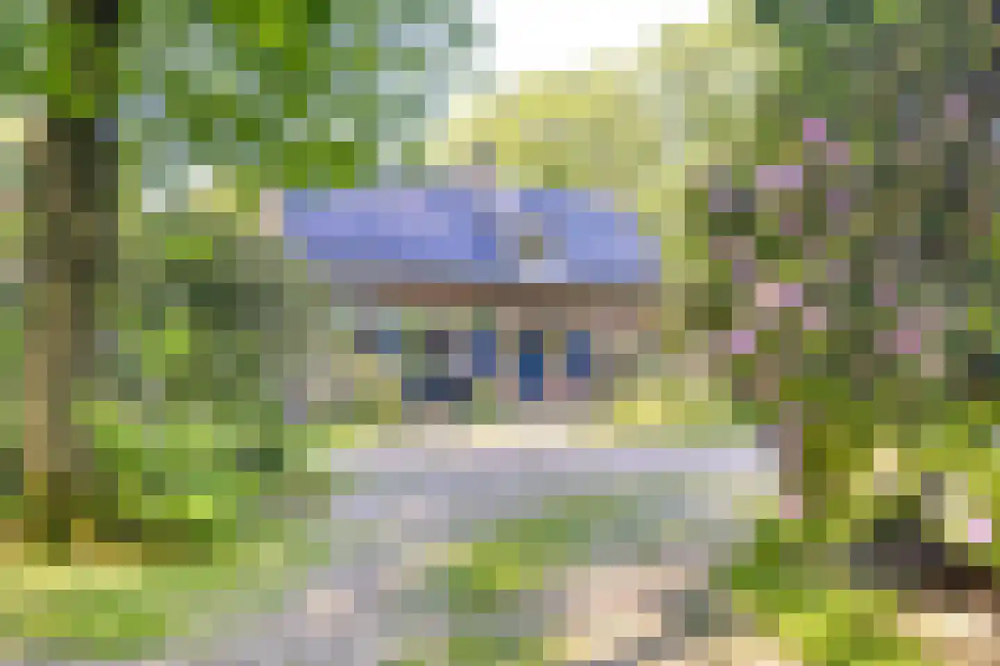 Koningsweg 23 Arnhem thumbnail 5