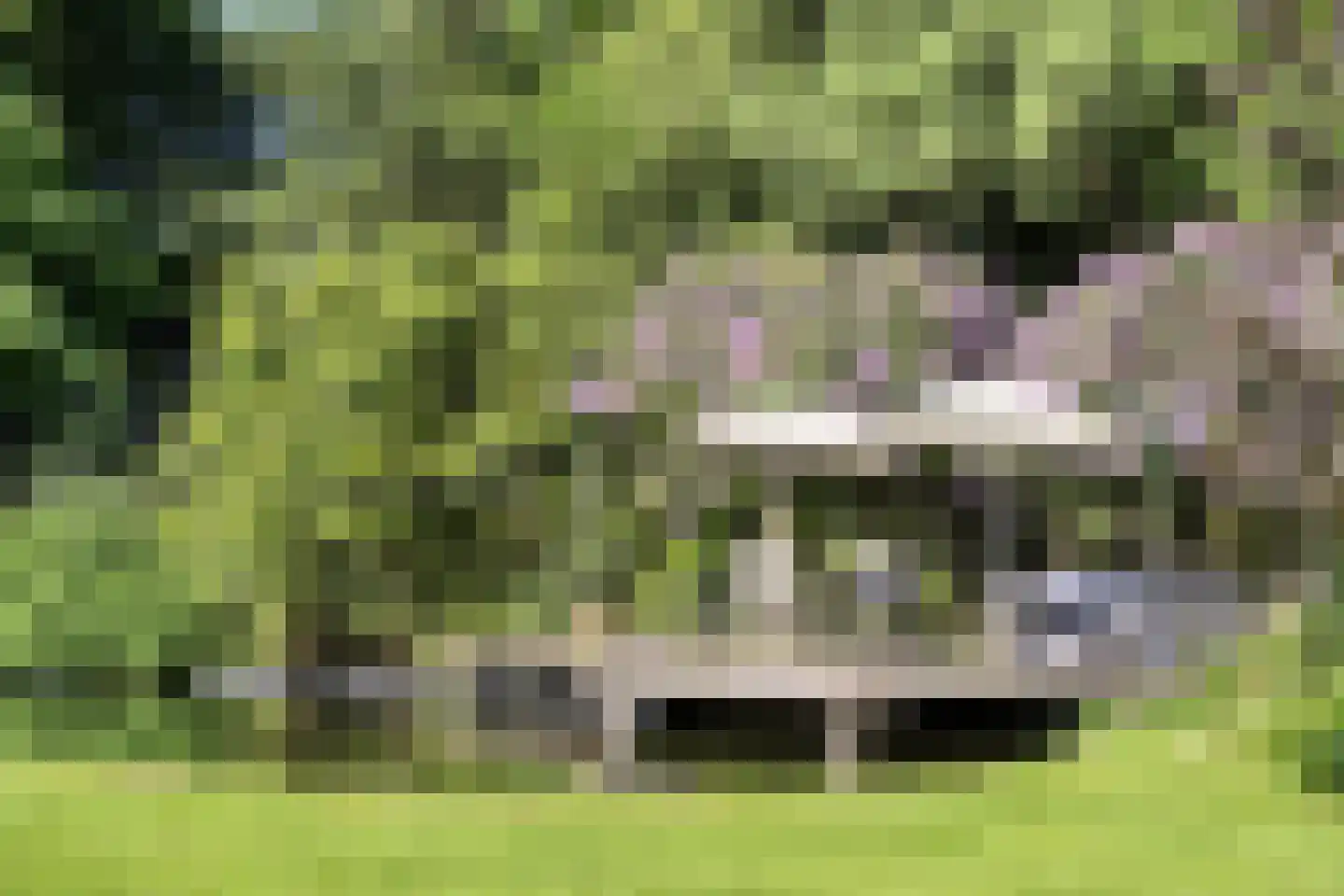 Koningsweg 23 Arnhem thumbnail 56