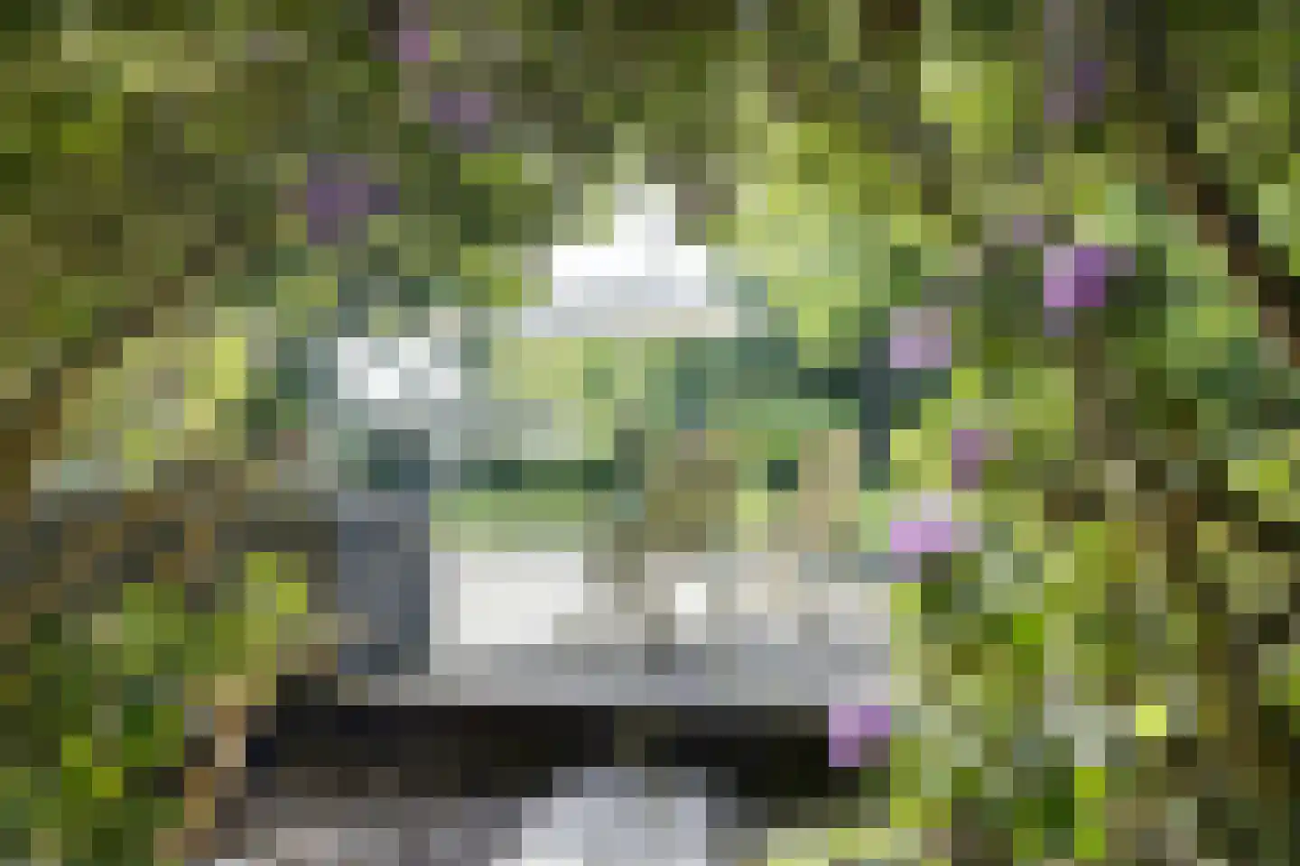 Koningsweg 23 Arnhem thumbnail 57