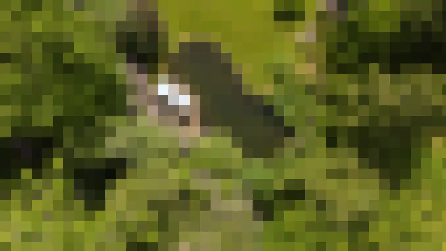 Koningsweg 23 Arnhem thumbnail 58