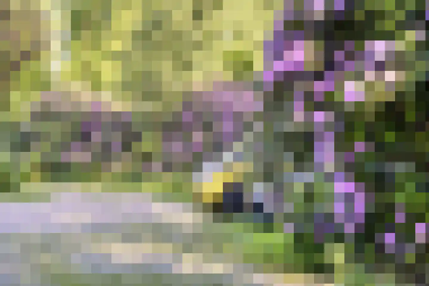 Koningsweg 23 Arnhem thumbnail 6