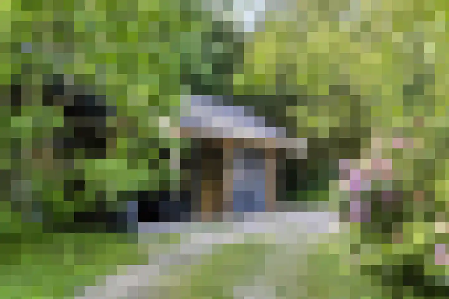 Koningsweg 23 Arnhem thumbnail 60