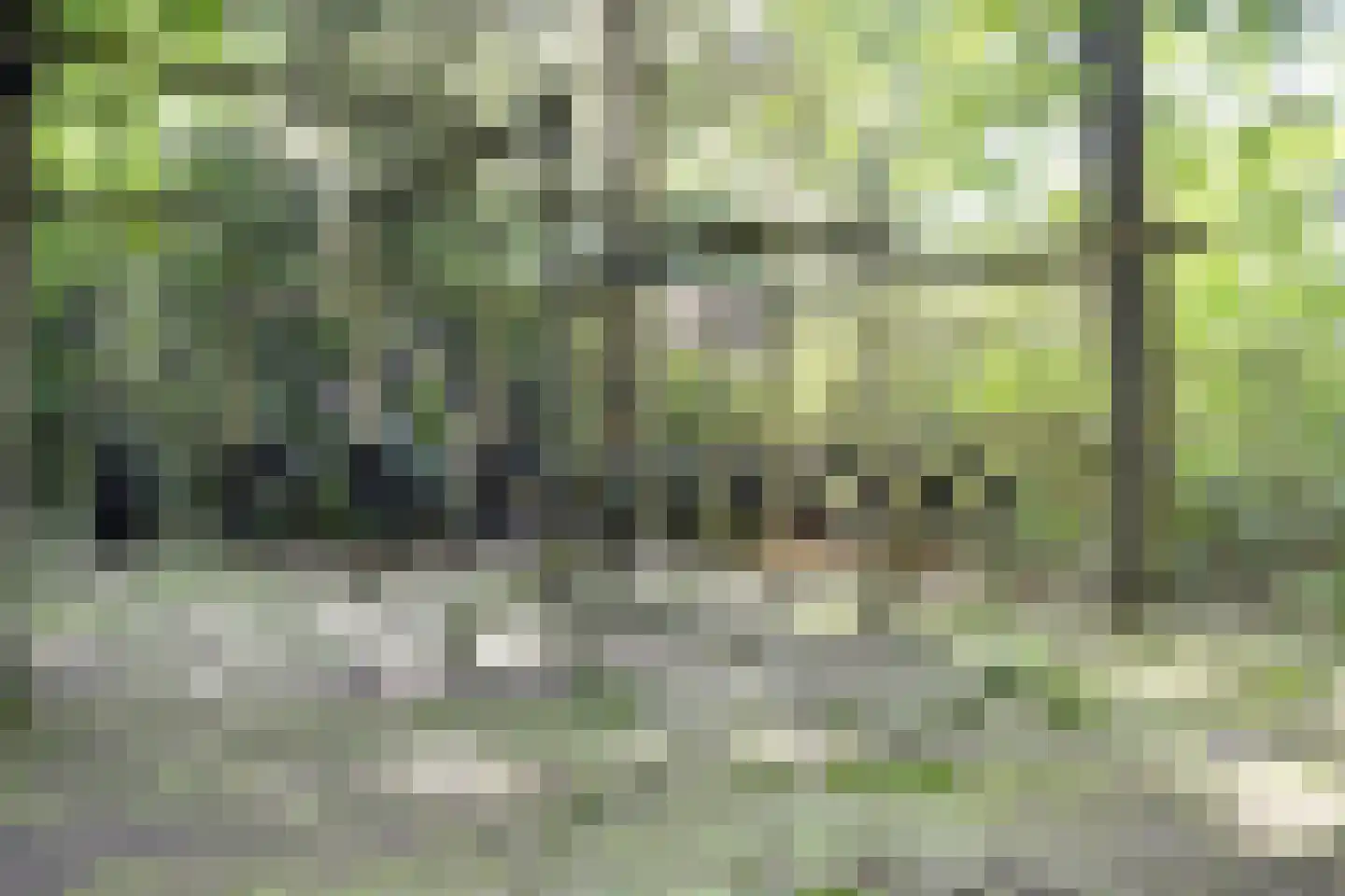 Koningsweg 23 Arnhem thumbnail 61