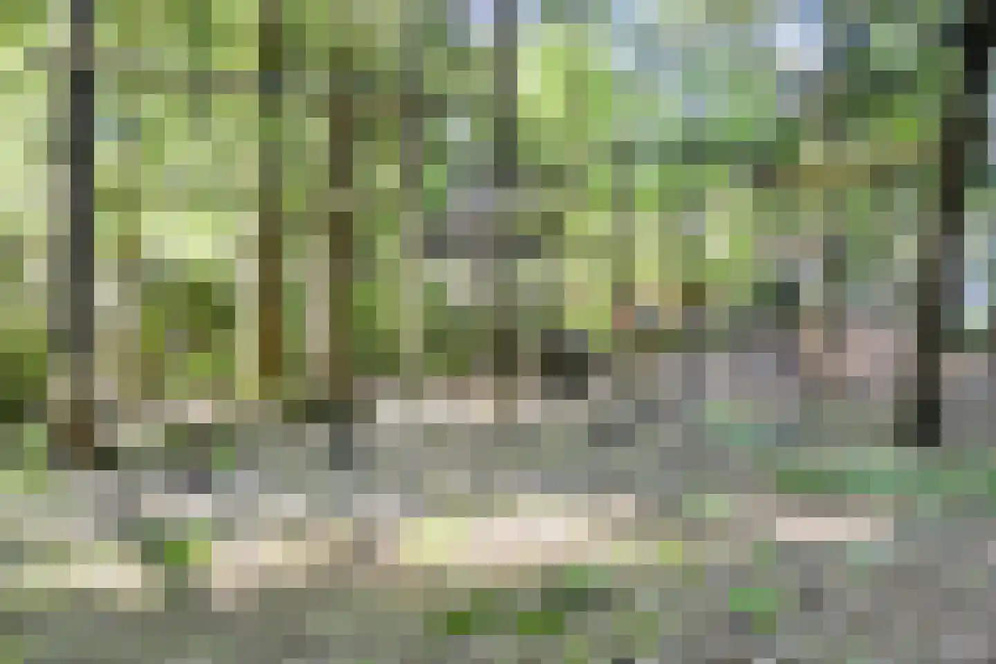 Koningsweg 23 Arnhem thumbnail 62