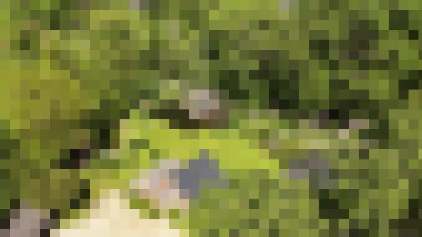 Koningsweg 23 Arnhem thumbnail 63
