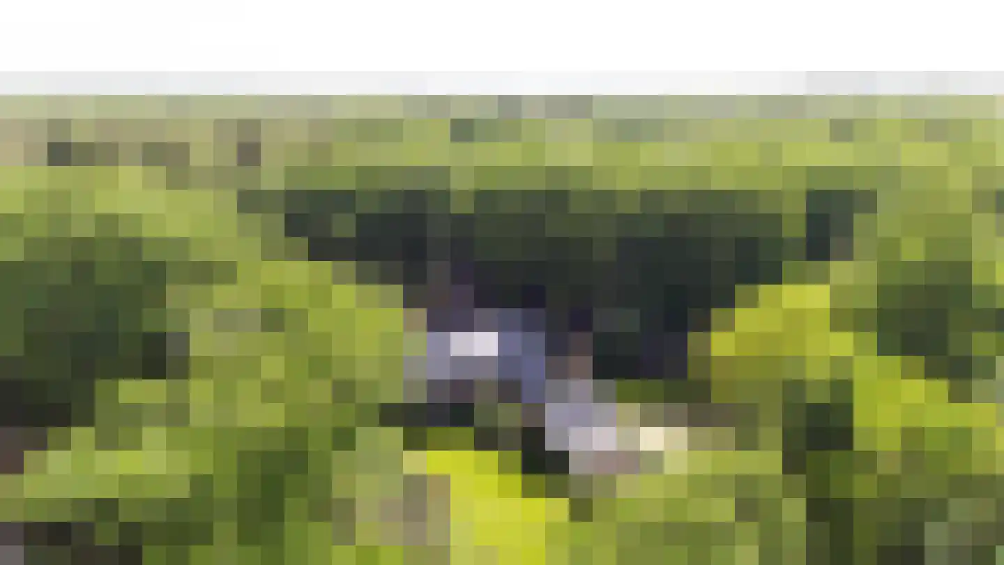 Koningsweg 23 Arnhem thumbnail 65