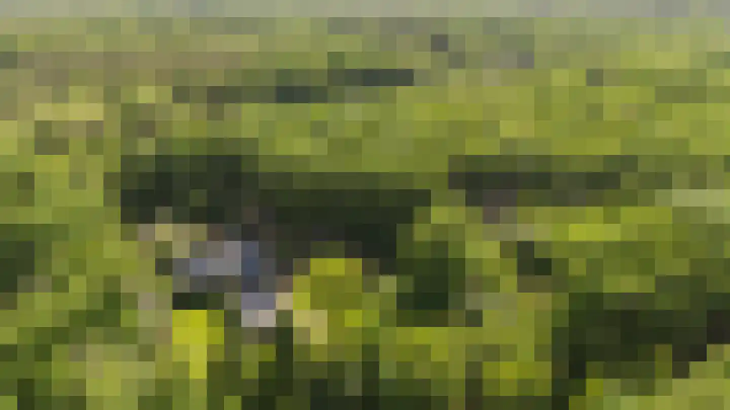 Koningsweg 23 Arnhem thumbnail 68