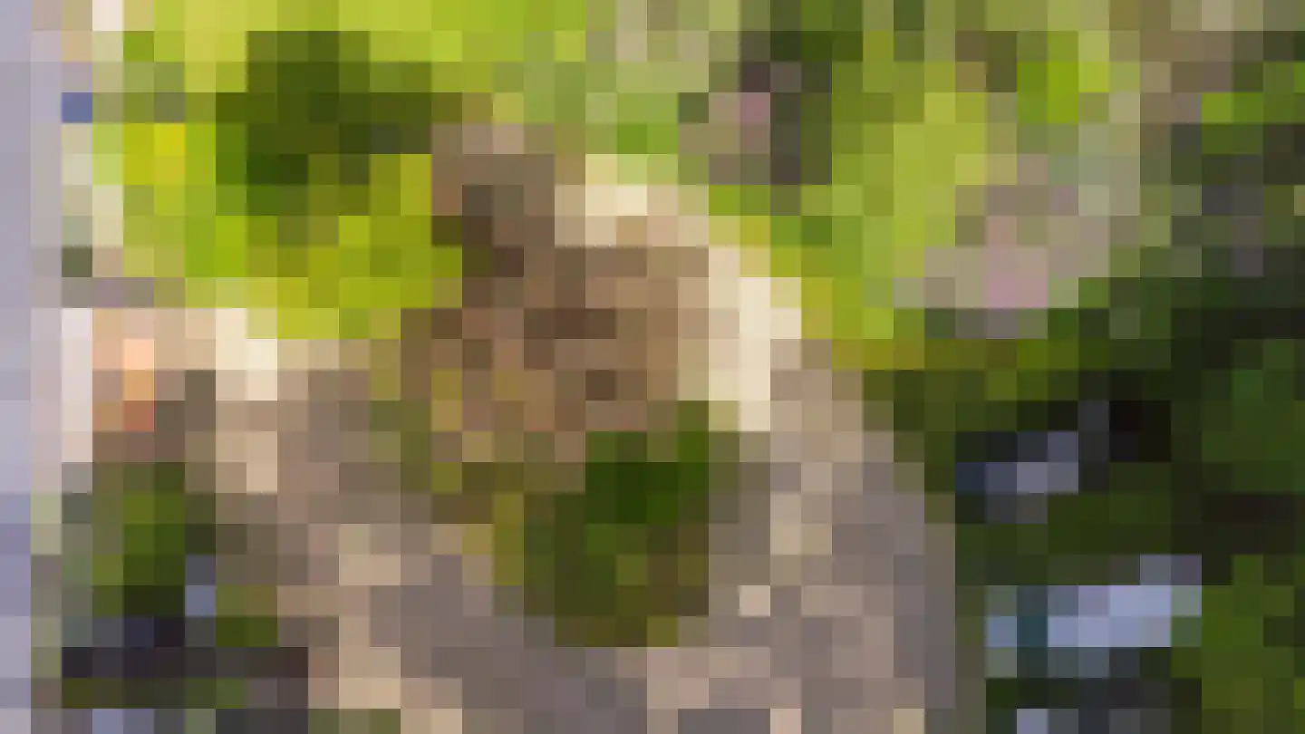 Koningsweg 23 Arnhem thumbnail 69