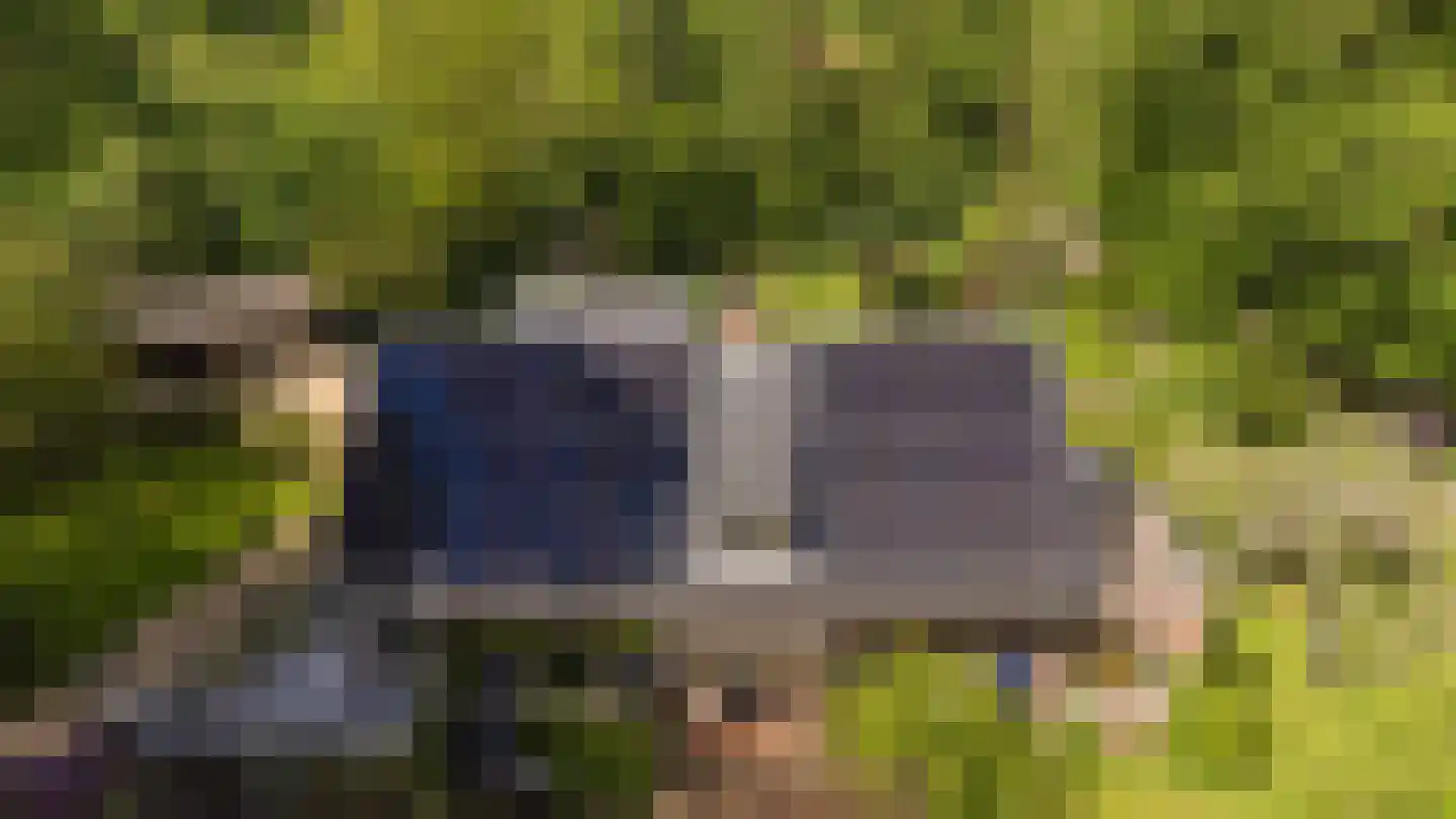 Koningsweg 23 Arnhem thumbnail 70