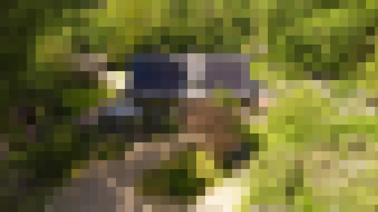 Koningsweg 23 Arnhem thumbnail 71