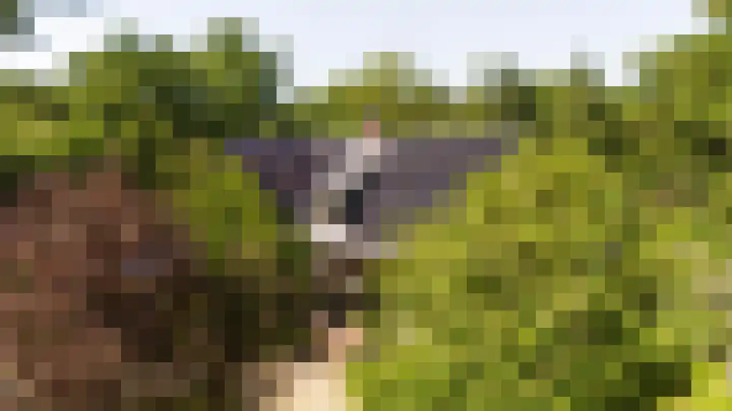 Koningsweg 23 Arnhem thumbnail 72