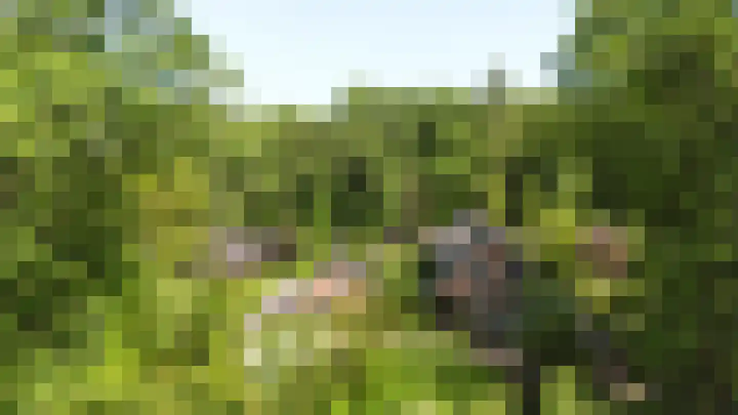 Koningsweg 23 Arnhem thumbnail 73