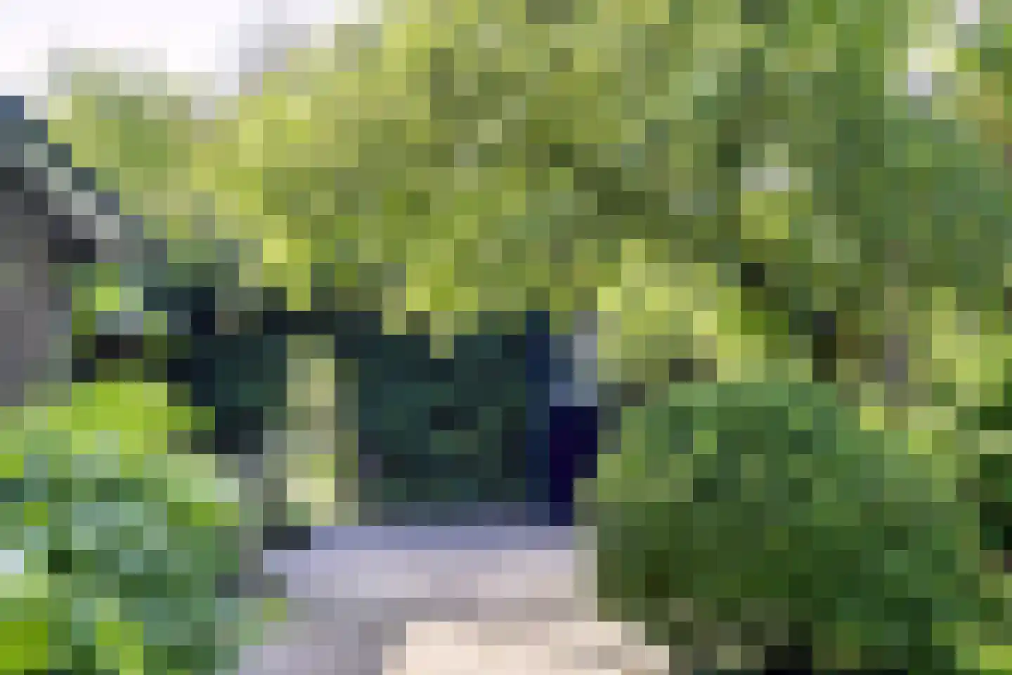 Koningsweg 23 Arnhem thumbnail 8