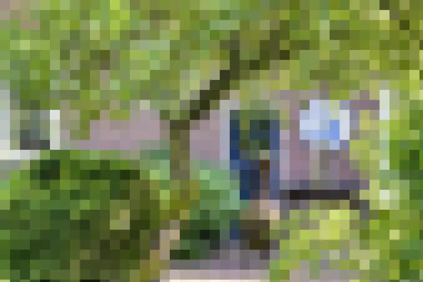 Koningsweg 23 Arnhem thumbnail 9