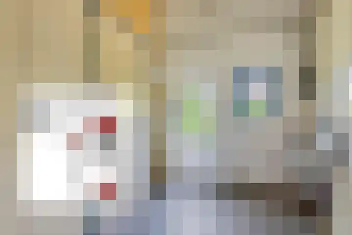 Koningsweg 23 Puiflijk thumbnail 22
