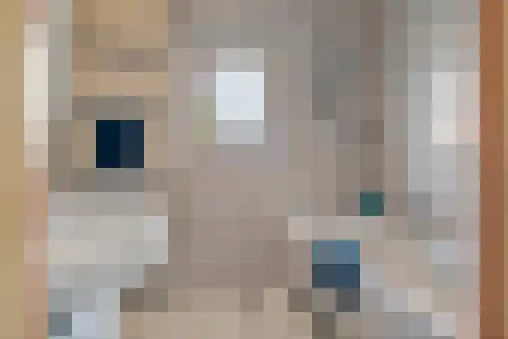 Koningsweg 23 Puiflijk thumbnail 37