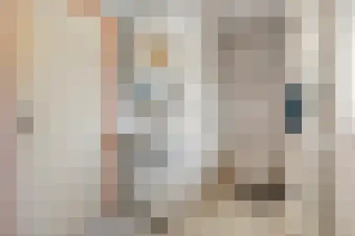 Koningsweg 23 Puiflijk thumbnail 38