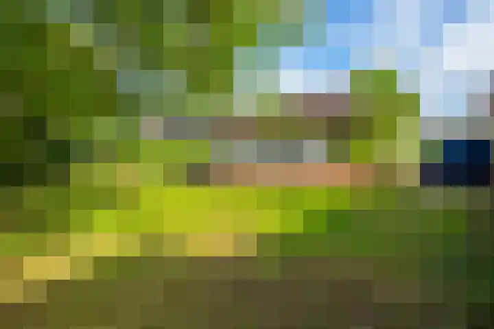 Koningsweg 23 Puiflijk thumbnail 41