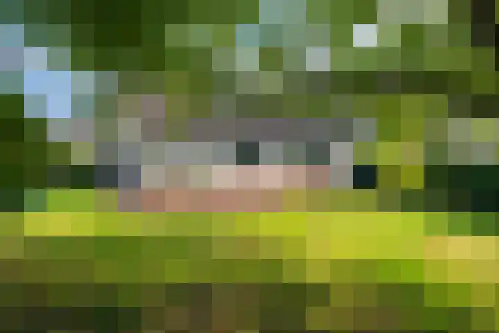 Koningsweg 23 Puiflijk thumbnail 42