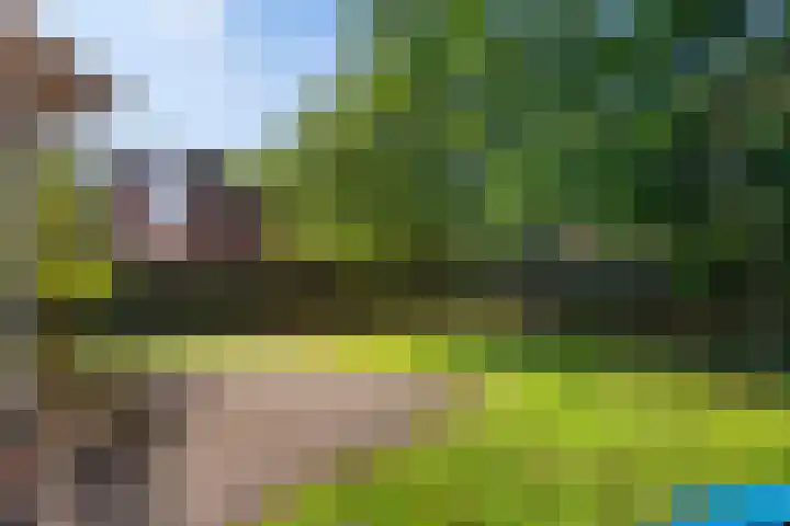 Koningsweg 23 Puiflijk thumbnail 43