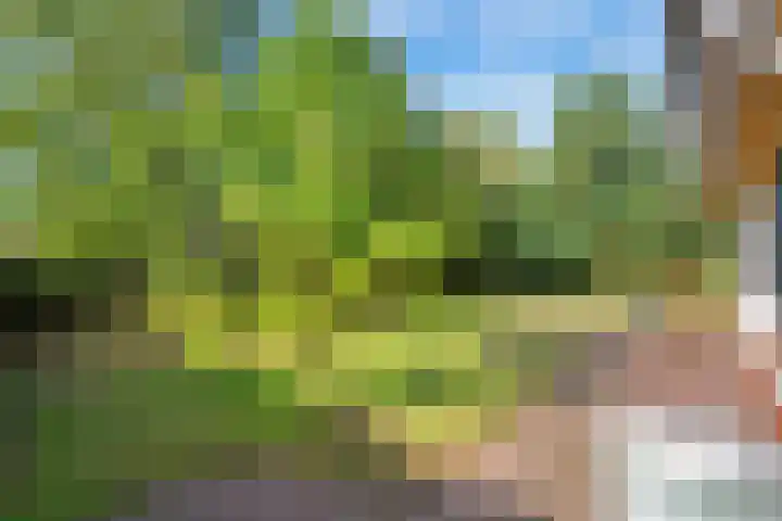 Koningsweg 23 Puiflijk thumbnail 44