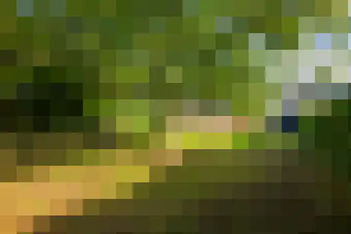 Koningsweg 23 Puiflijk thumbnail 45