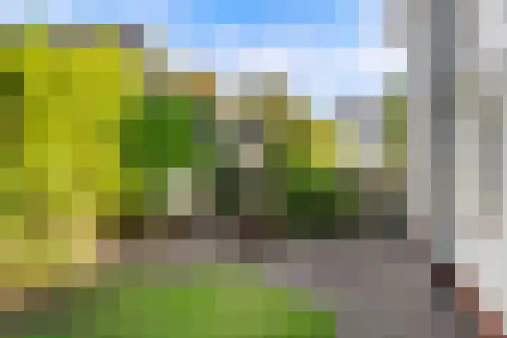 Koningsweg 23 Puiflijk thumbnail 50