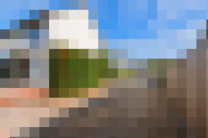 Koningsweg 23 Puiflijk thumbnail 51